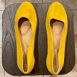 Yellow Flats- 11M.
